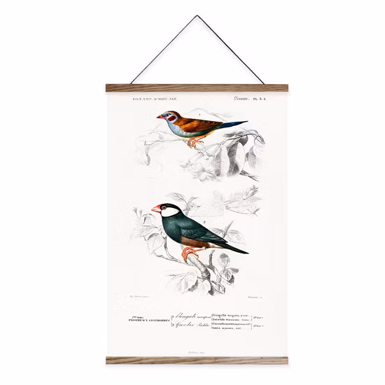 New Design Wood Framed Art